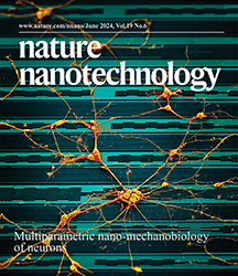 Publication in Nature Nanotechnology: Nano-mechanology of neurons