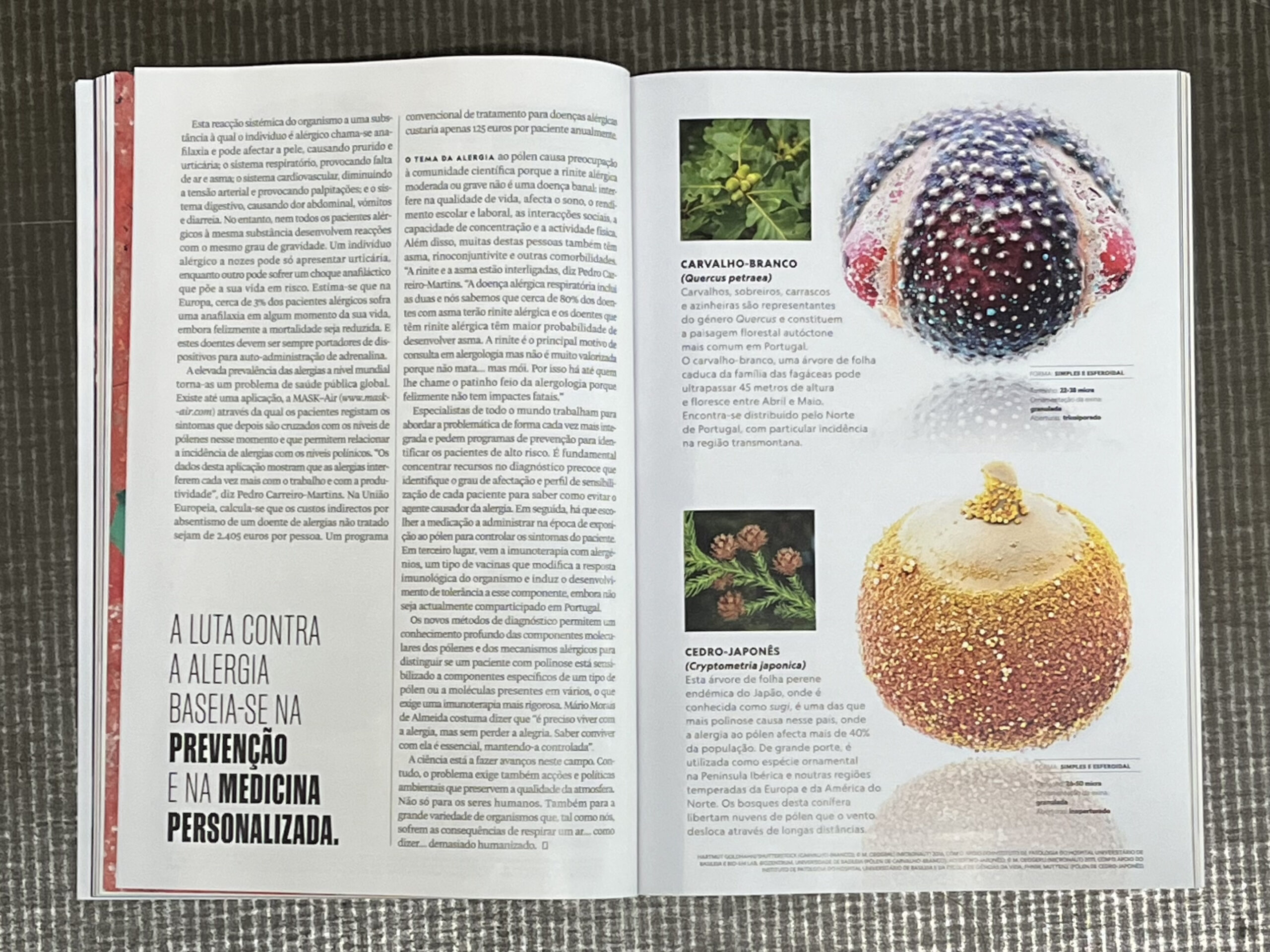 20240317-National Geographic-Reference-Spain+Portugal-Oeggerli-Pollen-4936-1